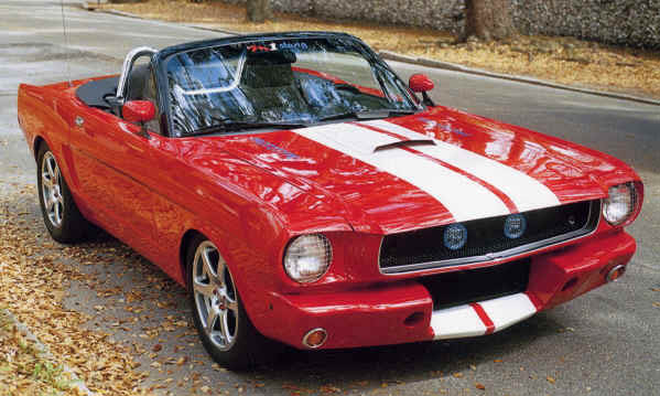 [Image: mustang2.jpg]